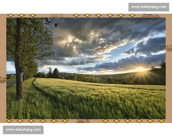 梦见游泳比赛象征自我突破与人生竞争节奏的深层解读心理意义分析